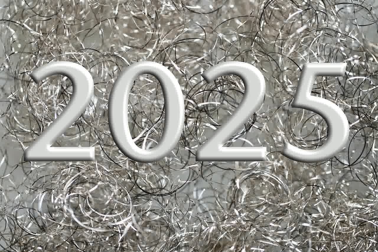 발전사 비정규직 정규직화의 필요성과 2025 국정감사에서의 논의