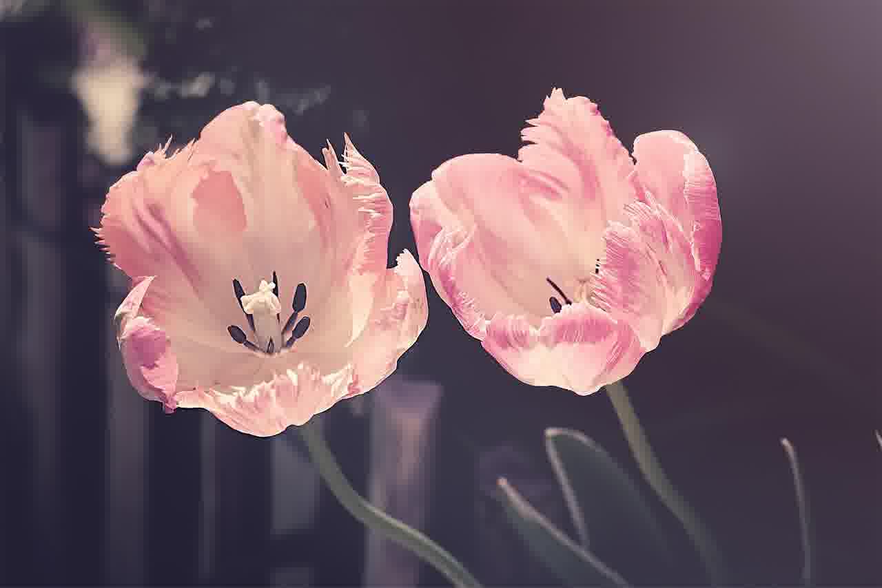 동군산병원 예약 시스템 완벽 가이드와 진료 정보 알아보기