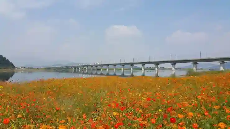 KTX 취소표 쉽게 구하는 법과 수수료 절약하는 팁 알아보기