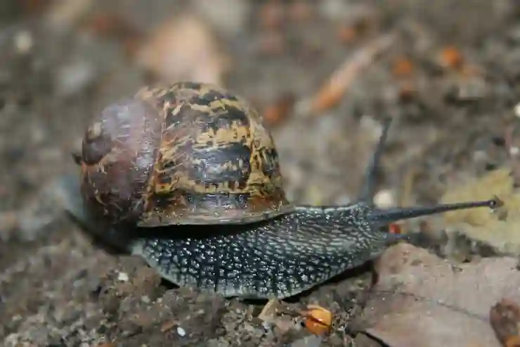 환율계산기로 smarter한 금융관리 시작하기!