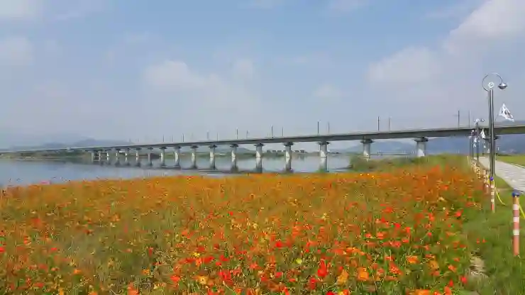 KTX 취소표 구하는 법 및 수수료 예매 성공 팁!