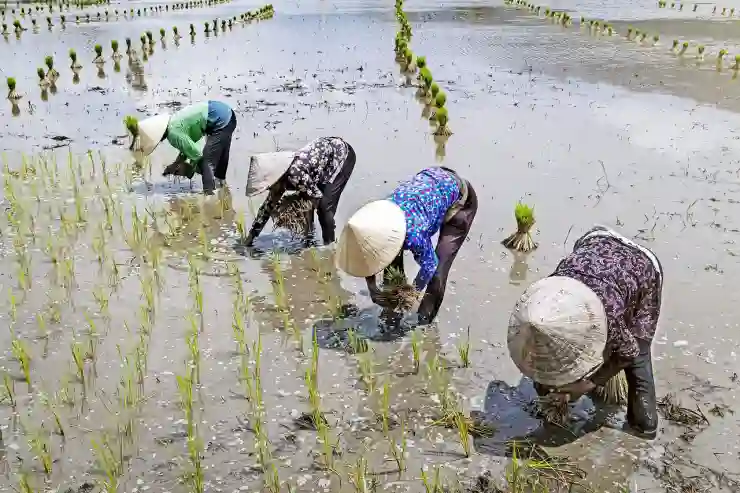 천안시 백석동 임플란트 가격 및 보험적용 방법, 저렴하고 신뢰할 수 있는 치과 병원 추천