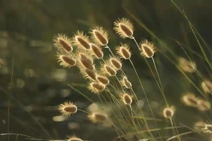 인천부평올리브요양병원 예약 및 진료시간 가이드 | 일요일, 공휴일, 전문의 추천 및 유명 요양병원 2025″
