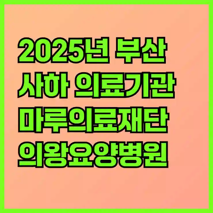 2025년 부산 사하 의료기관 마루의료재단 의왕요양병원 예약과 진료시간 완벽 정리 및 일요일 공휴일 요양병원 추천과 전문의 소개 알아보기