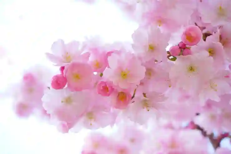 간선상차와 간선하차의 모든 것 알아보기