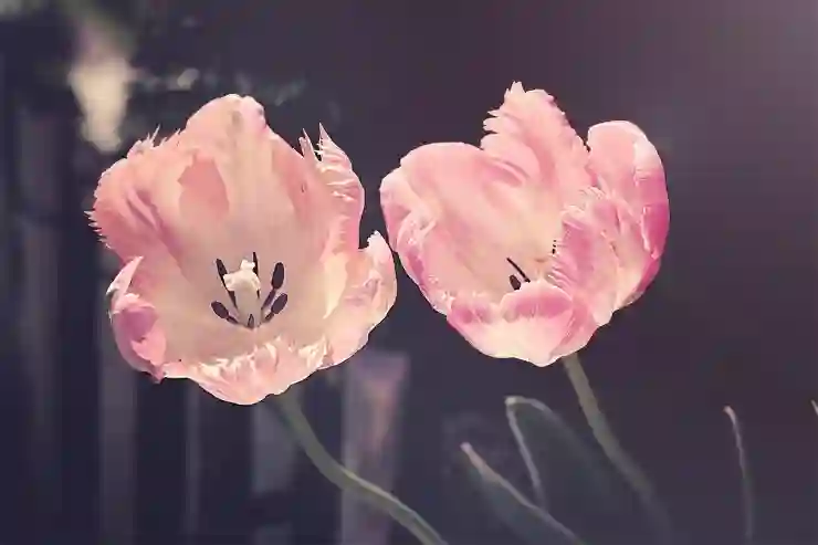 부곡치과병원 임플란트와 크라운, 보험 혜택까지 한눈에 살펴보기!