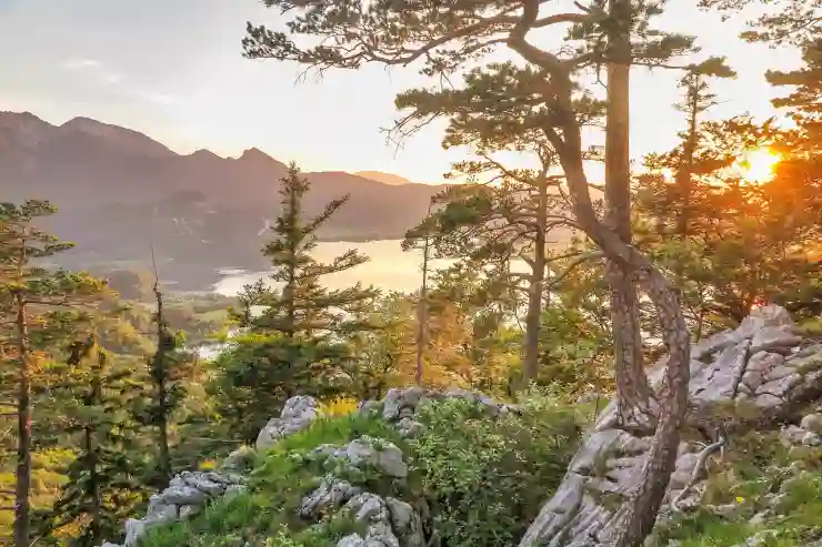 부산북구 인당의료재단 부민병원 예약 꿀팁과 진료시간 완전 정복, 일요일 진료부터 전문의 추천까지 한눈에 알아보기