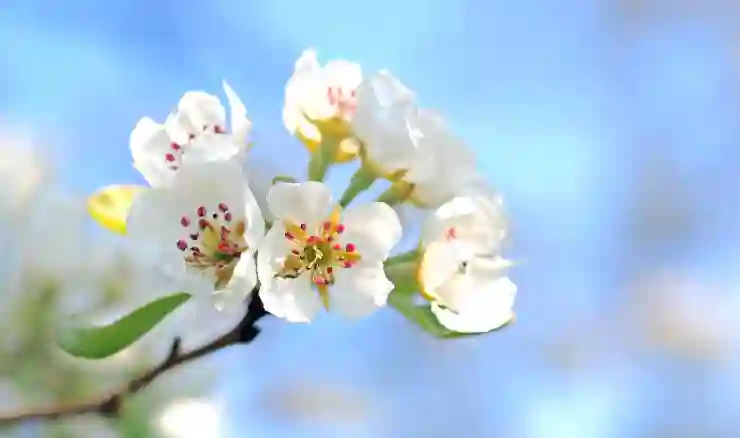 삼성 서비스센터 예약 완전 정복! 렌지·세탁기 수리 AS 꿀팁과 알아보기