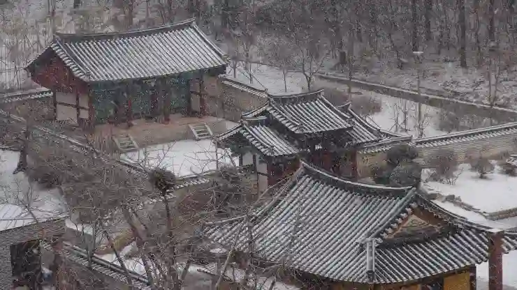 세종시에서 조리 교육과 알바 정보를 쉽고 빠르게 찾는 꿀팁!