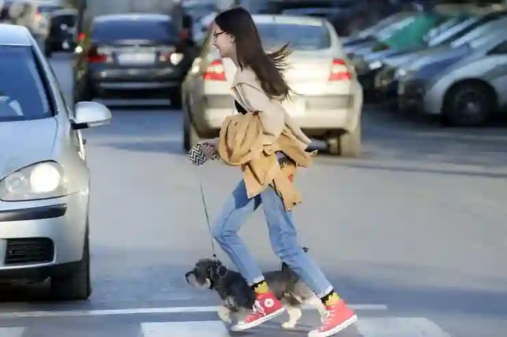 심사 신청으로 입학 성공! 반드시 알아야 할 6가지 핵심 전략 살펴보기