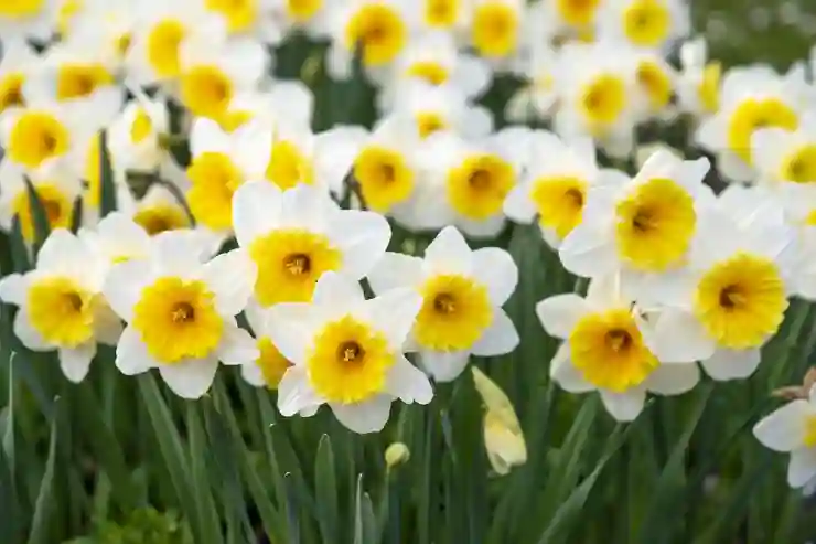 유성구 하기동 저렴한 임플란트 가격과 보험 적용 꿀팁 알아보기