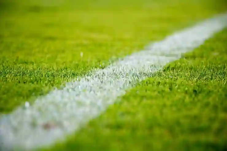 정해성 벤투 위원장 선임, 축구 미래에 미칠 영향은?