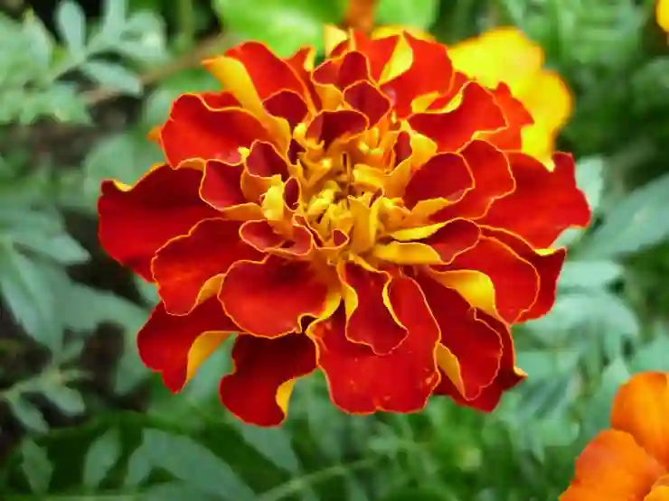 충청남도 실펌엑스 시술 저렴한 곳과 효과, 후기, 지속 기간 알아보기!