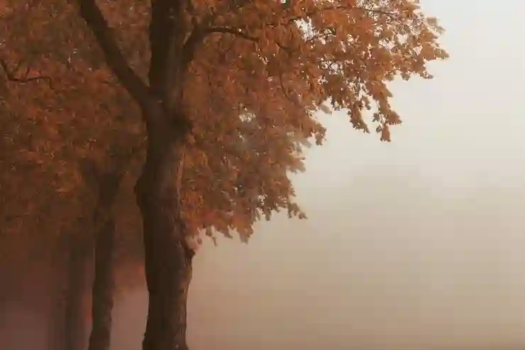 수강 신청 대란, 순천향대 학생들의 비밀 무기는 무엇일까?