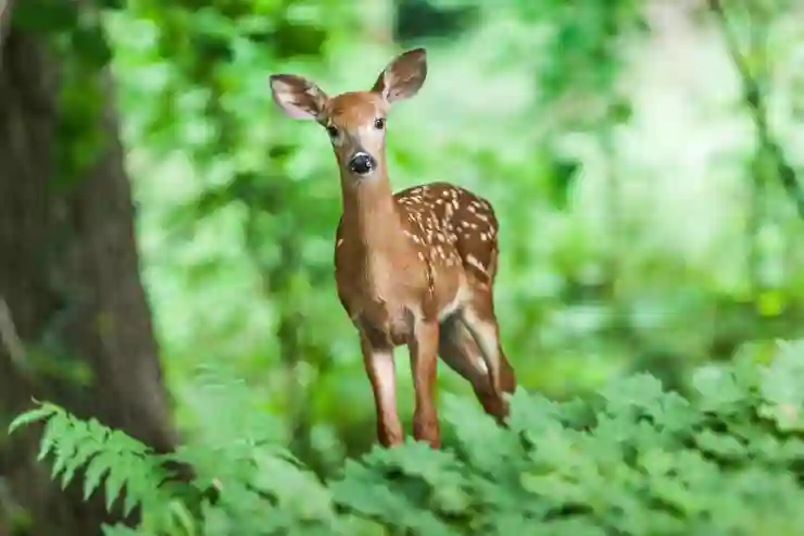 전주의료법인 지리산의료재단 어의당한방병원 예약 방법 및 진료시간 안내 | 일요일, 공휴일, 전문의 추천, 2025