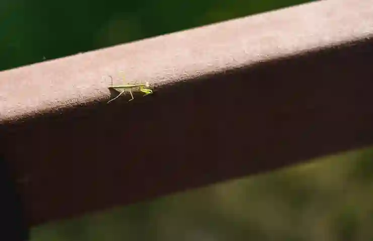 서울관악강남힐병원 예약 방법과 진료시간 안내 | 어플, 일요일 진료, 전문의 추천, 2025 최신 정보