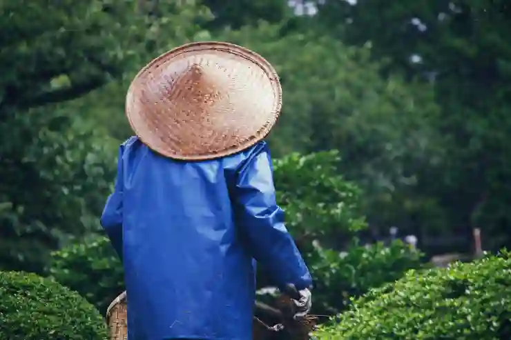 가정 간호로 나만의 힐링 공간 만들기 비법 알아보기
