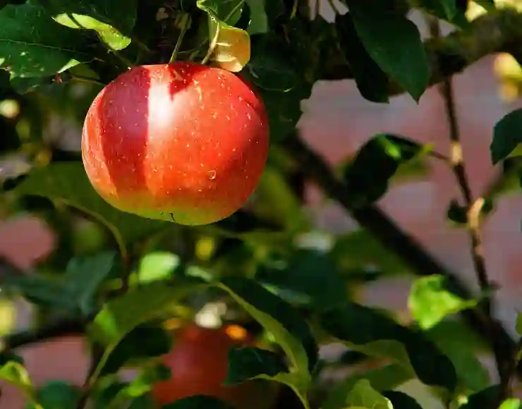 아이폰 13 초기화 후 Apple ID 로그아웃 방법