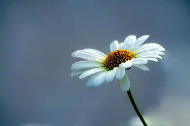 온라인으로 운전면허 갱신하는 법과 건강검진의 중요성 살펴보기