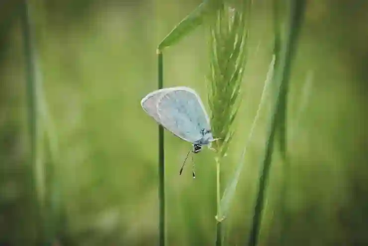 민증 사진 규정 완벽 가이드와 실수 방지 팁