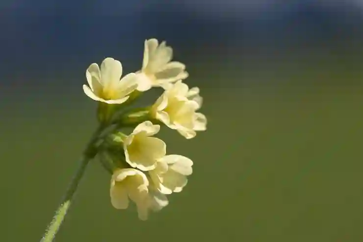 보험 계약자 변경 완벽 가이드: 우체국부터 KB손해보험까지 20곳 알아보기
