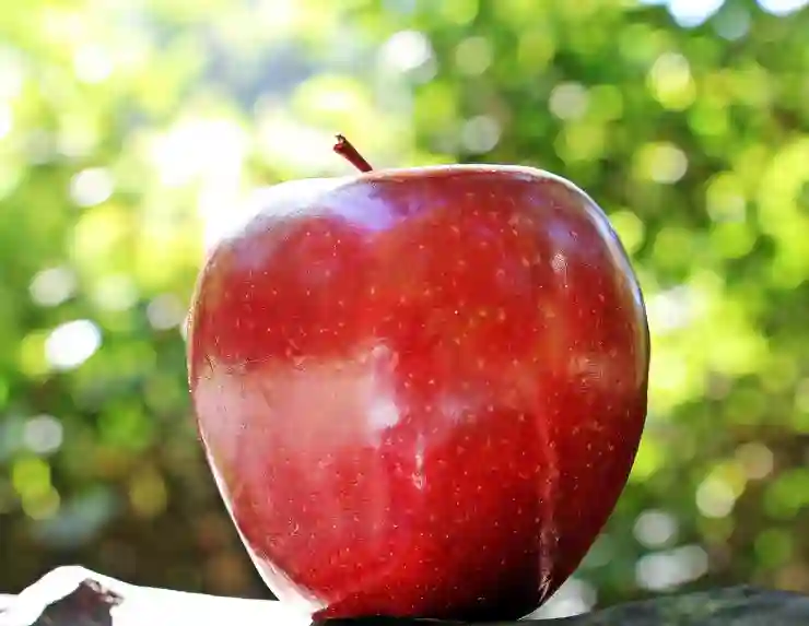 아이폰 13 초기화 후 Apple ID 로그아웃하는 스마트한 방법 알아보기