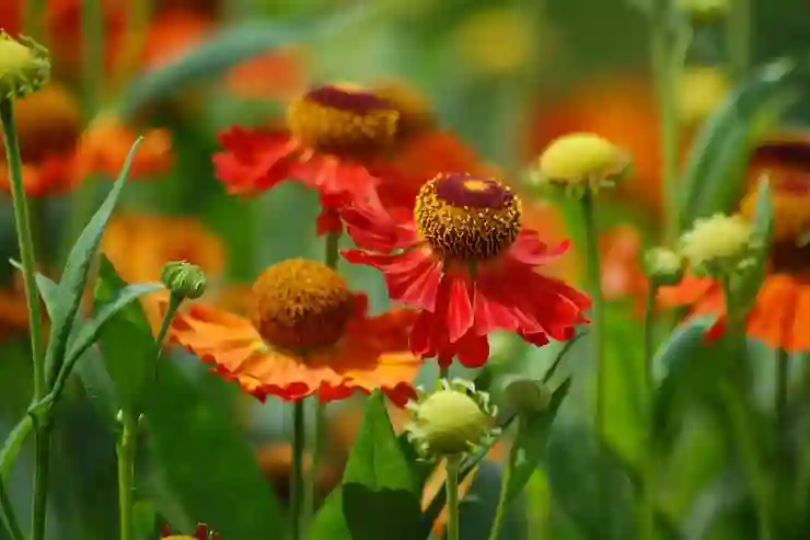 유튜브 영상 다운로드의 모든 것과 SS 링크 활용법 완벽 정복하기