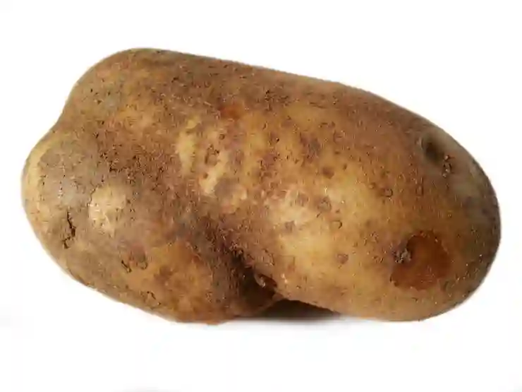 팽이버섯으로 만드는 맛있고 간편한 다이어트 요리법 알아보기