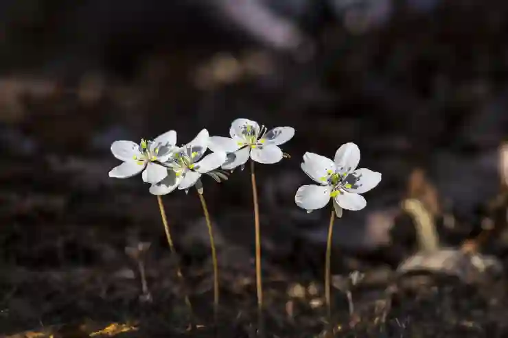 한컴독스 요금제 선택 가이드: 내게 맞는 최적의 옵션 찾기 한컴독스 요금제 선택 가이드: 내게 맞는 최적의 옵션 찾기