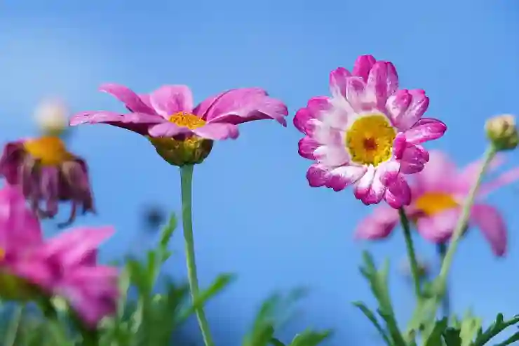 휴대폰 번호로 사람을 찾는 스마트한 방법 알아보기 휴대폰 번호로 사람을 찾는 스마트한 방법 알아보기