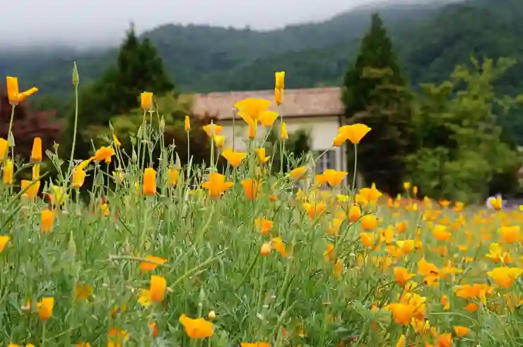 청원 HUB와 간선상차