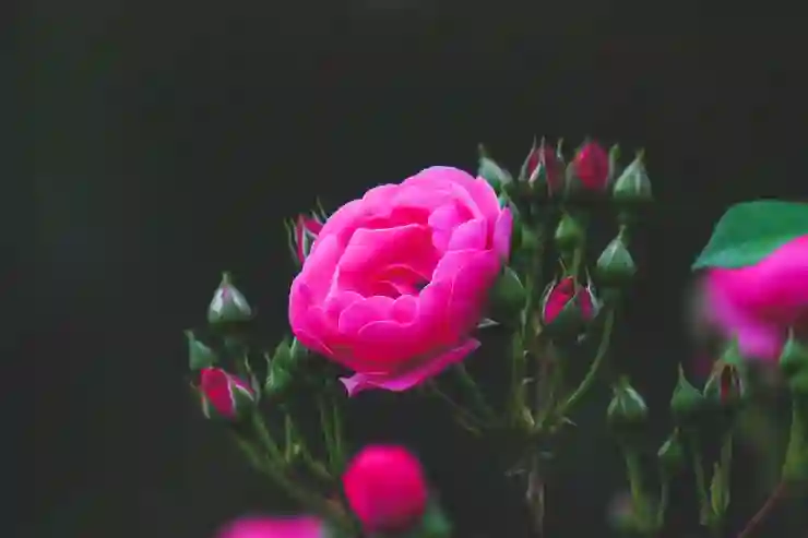 모두가 알아야 할 대출 방법: 당신이 알아야 할 중요한 정보