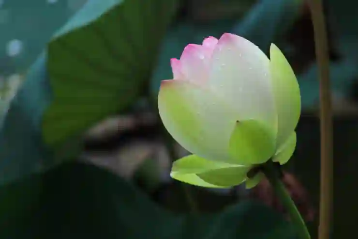 운전면허 필기시험 접수 후 유의사항 및 꿀팁