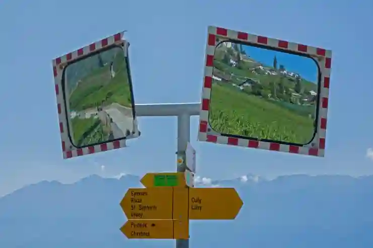 결항 확인서 발급과 보상 신청 완벽 가이드