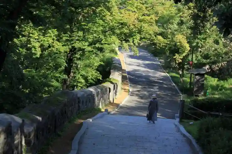 가평 산책로에서 만나는 자연의 힐링 마법