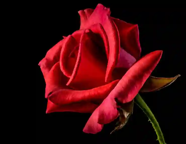고혼진 기미크림과 마스크팩으로 완성하는 피부 관리 비법 알아보기
