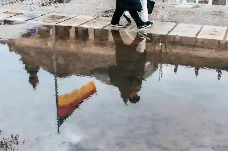 자연 속 힐링, 국립산림치유원과 소백산의 매력 탐방하기