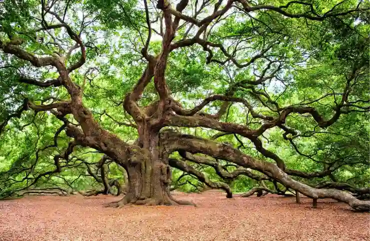 비정규직의 권리를 지키는 녹색정의당의 새로운 발걸음 살펴보기