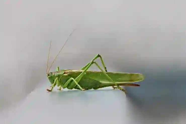 영주 국립산림치유원에서의 깊은 휴식 경험하기