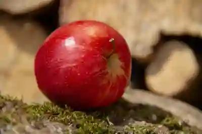 최고의 무선 스팀청소기 추천과 사용 꿀팁 알아보자