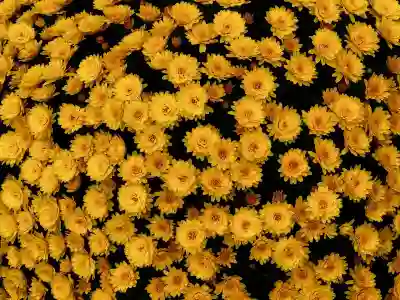 3D프린터의 원리와 구매 가이드 알아보자