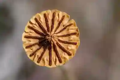 API 연동을 위한 필수 기초 상식 알아보자