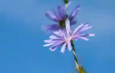 GIF 만들기와 동영상 변환을 위한 ezgif 사용법 알아보자