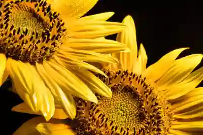 네이버 인증서 발급과 가져오기 및 내보내기 방법 알아보자