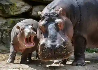 대용량 파일 전송을 쉽게 하는 방법 알아보자 대용량 파일 전송을 쉽게 하는 방법 알아보자