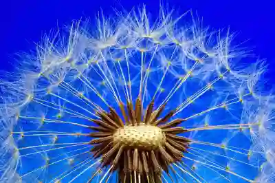 바디드라이기와 드라이어의 장단점 알아보기