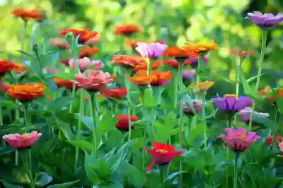 소리로 음악검색하는 꿀팁 알아보자