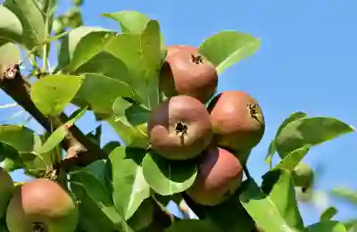 맥북 시리즈의 다양한 선택지를 알아보자