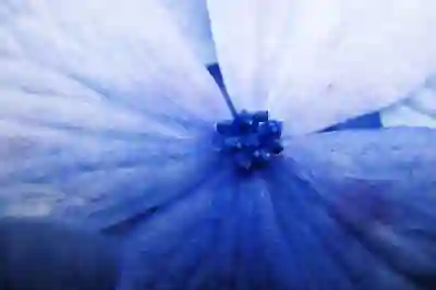 엘지 유플러스 재약정으로 받을 수 있는 사은품 혜택 알아보자