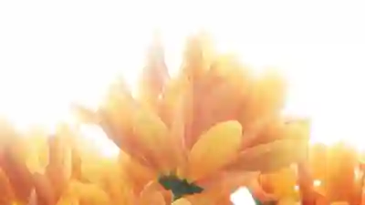 윈도우 11 정품 인증의 중요성과 할인 코드 활용법 알아보자